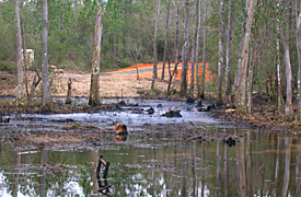 site inspections of crude oil